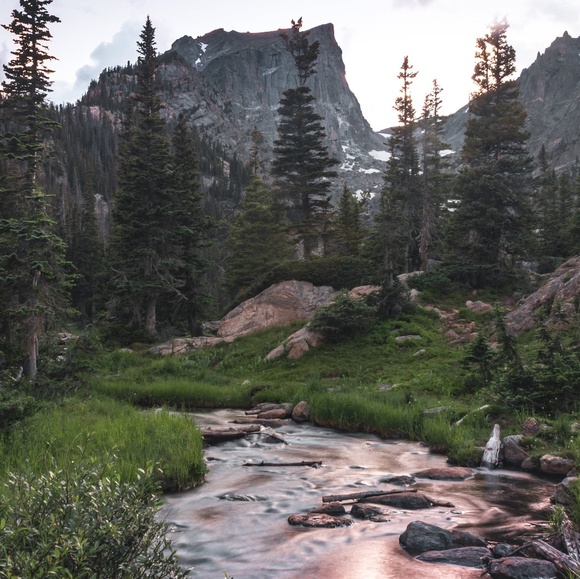 Meet your Posher, Carley - Picture 1 of 1